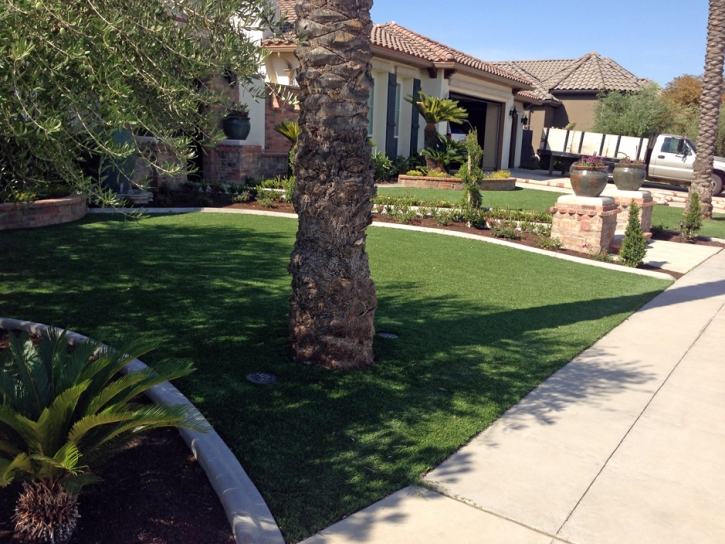 Synthetic Turf Sharon, Kansas Lawns, Front Yard Landscaping Ideas