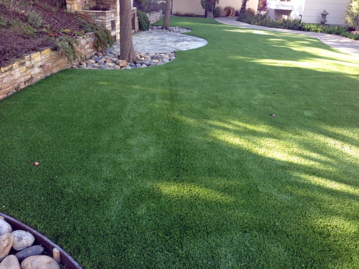 Synthetic Turf Shawnee, Kansas Watch Dogs, Backyard Landscape Ideas