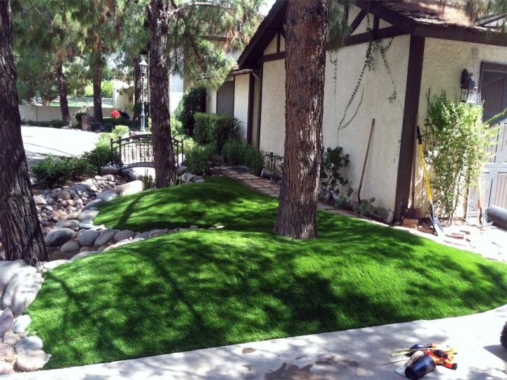 Synthetic Turf Spivey, Kansas, Small Front Yard Landscaping