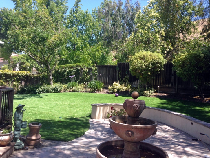 Synthetic Turf Supplier Abbyville, Kansas Lawns, Small Backyard Ideas