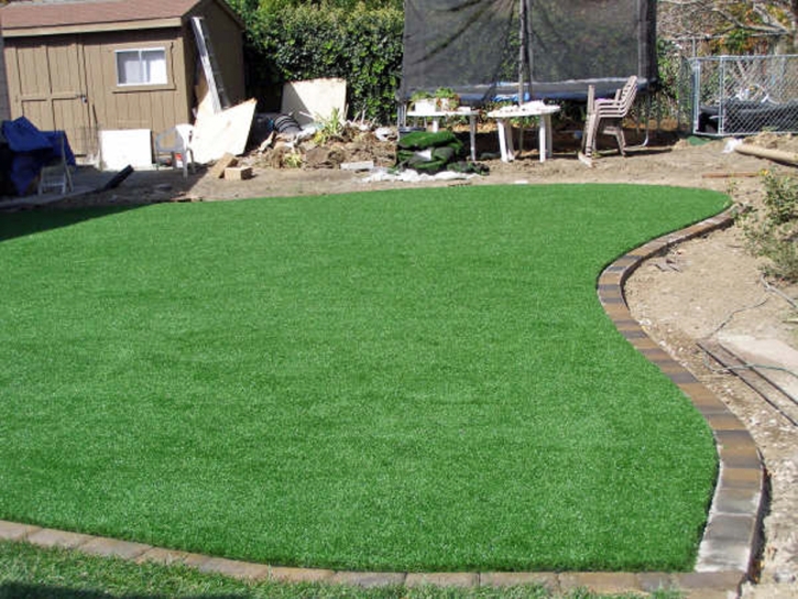 Synthetic Turf Supplier Burrton, Kansas Landscaping, Backyard Landscaping