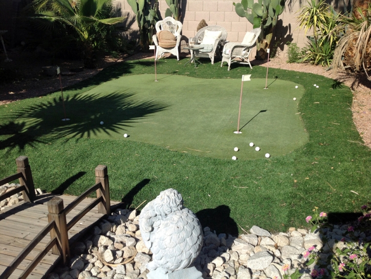 Synthetic Turf Supplier Dodge City, Kansas Home And Garden, Backyard