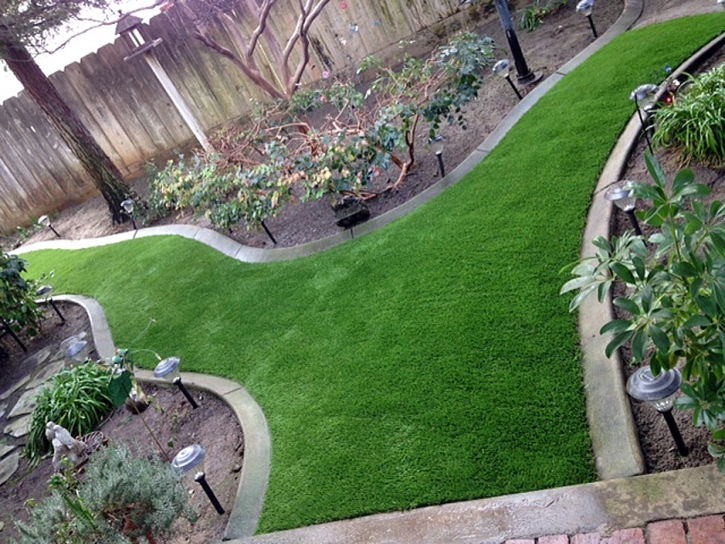 Synthetic Turf Supplier Elk Falls, Kansas Backyard Playground, Backyard Landscaping