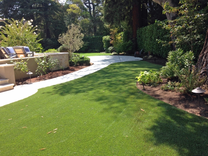 Synthetic Turf Supplier Hardtner, Kansas Landscape Photos, Backyard Design