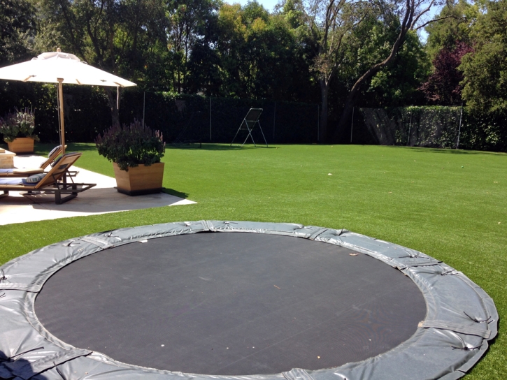 Synthetic Turf Supplier Lansing, Kansas Paver Patio, Backyard Landscaping Ideas