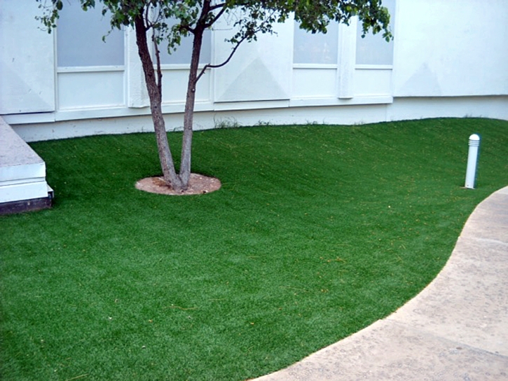 Synthetic Turf Utica, Kansas City Landscape, Commercial Landscape