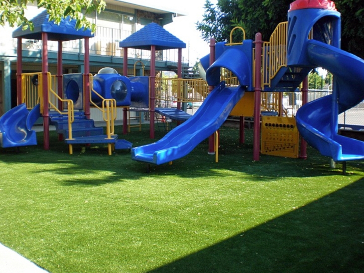 Synthetic Turf Walton, Kansas Lawn And Garden, Commercial Landscape