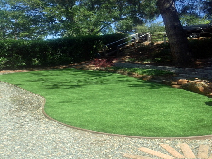 Turf Grass Denton, Kansas Rooftop, Backyard Landscaping Ideas