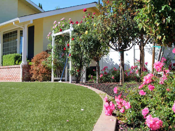 Turf Grass Fort Scott, Kansas Lawn And Garden, Front Yard Design