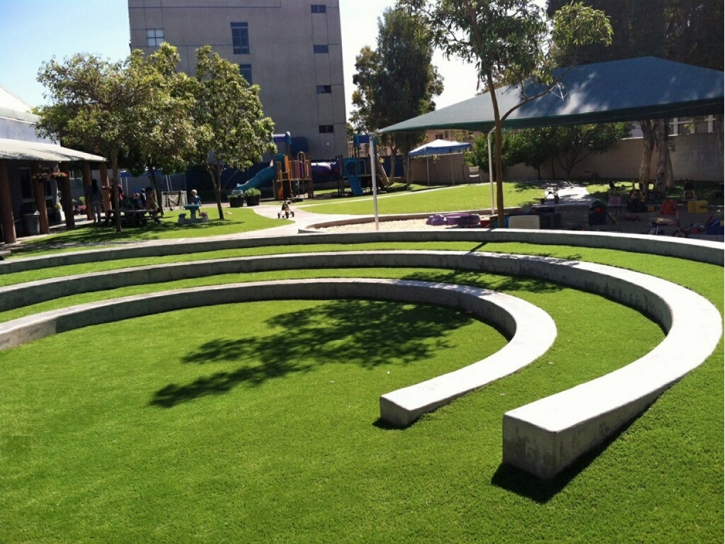 Turf Grass Latham, Kansas Kids Indoor Playground, Commercial Landscape