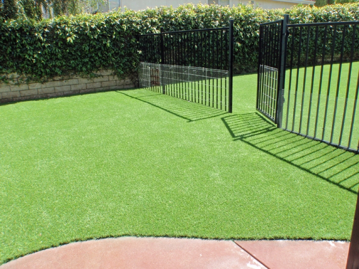 Turf Grass Zenda, Kansas Pet Grass, Landscaping Ideas For Front Yard